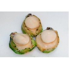 1-2青邊鮑魚 Abalone (Green Lip) 1-2 pcs/lb